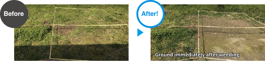 Weeding principle [Destruction due to low-temperature brittleness]