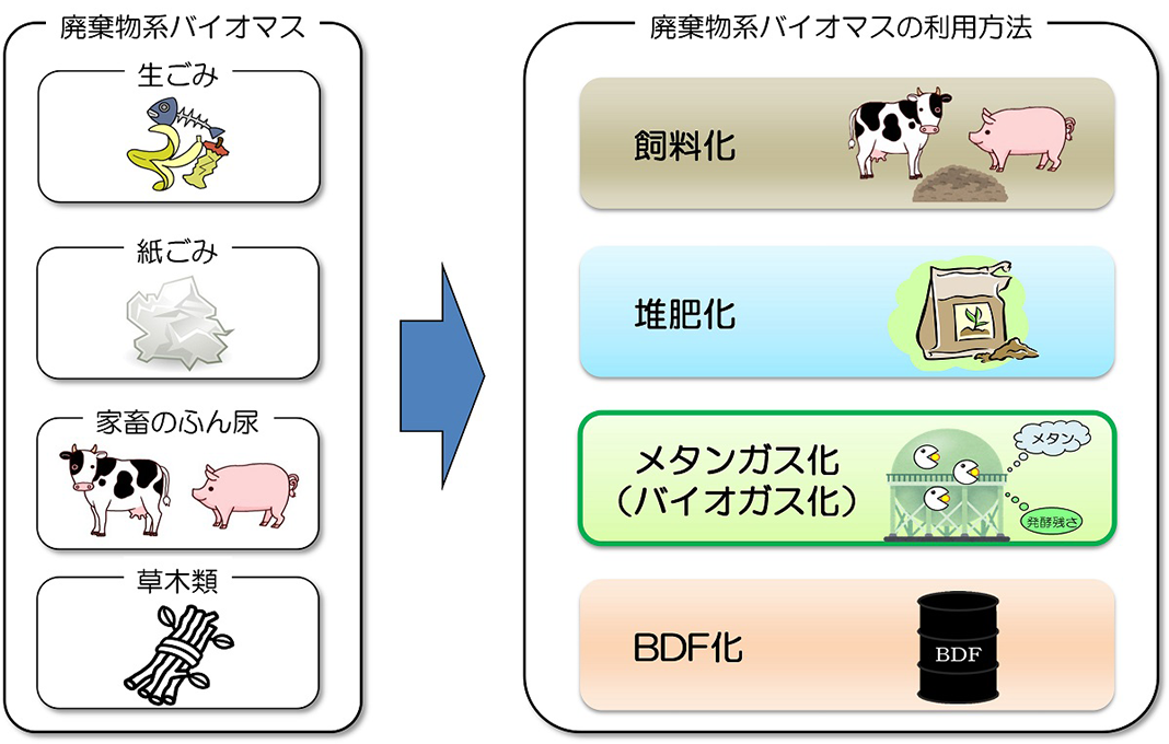 バイオマスから水素製造