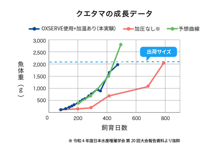 クエタマの成長比較（OGL加温と通常飼育）