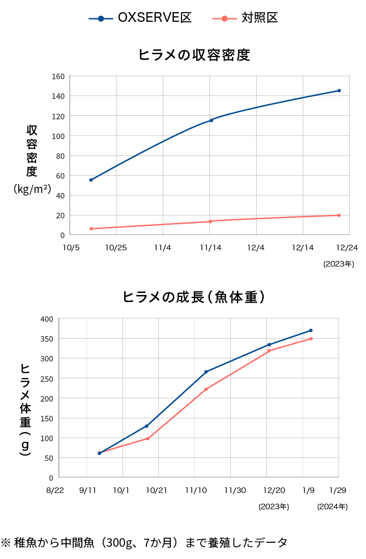 ※ 稚魚から中間魚（300g、7か月）まで養殖したデータ