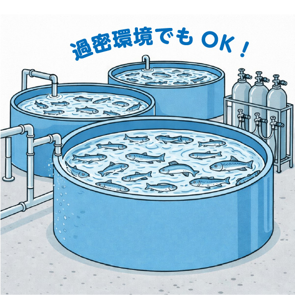 高密度飼育を目指す既存養殖業者様